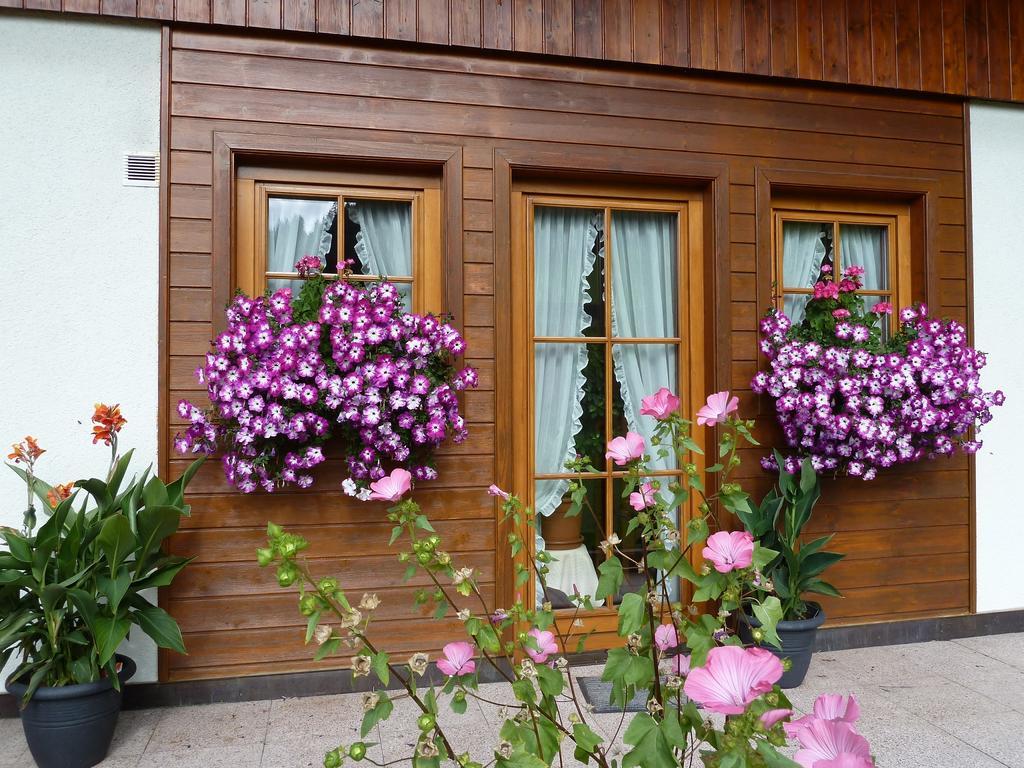 Haus Silvia Apartment Werfenweng Ngoại thất bức ảnh