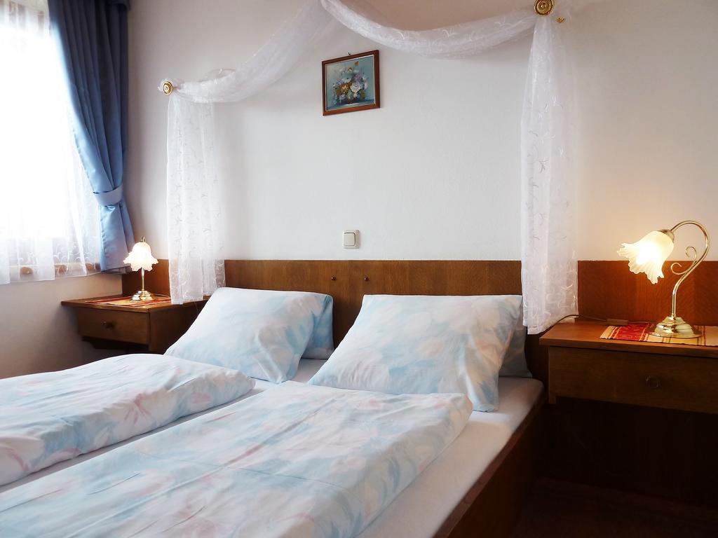 Haus Silvia Apartment Werfenweng Ngoại thất bức ảnh